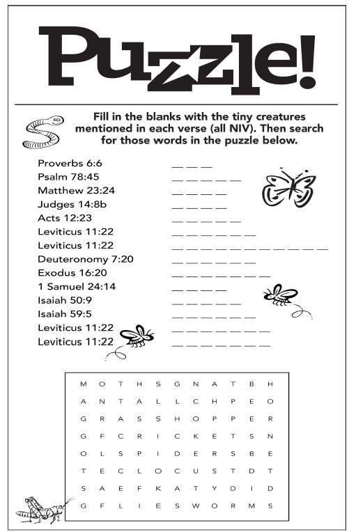 puzzle